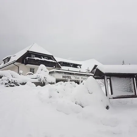 Zum Poppschen Gut Гостевой дом 3*