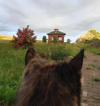 Guest house Zum Poppschen Gut 3*