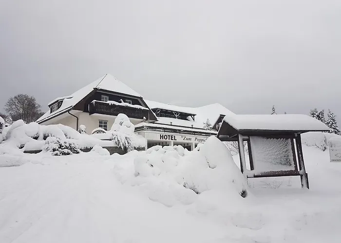 Zum Poppschen Gut Guest house 3*