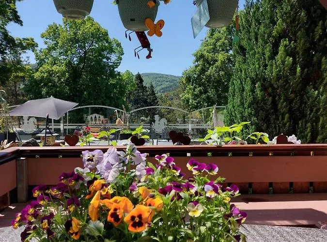 Zum Poppschen Gut 3* Olbernhau