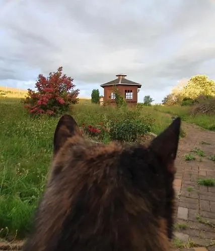 Guest house Zum Poppschen Gut 3*